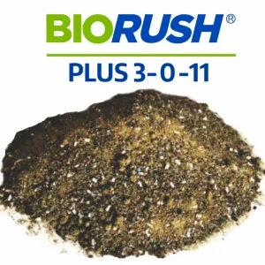 BioRush Plus