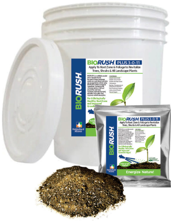 BioRush Plus - Image 4