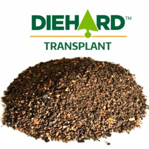 DIEHARD Transplant