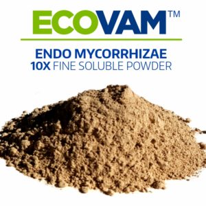 Ecovam Granular