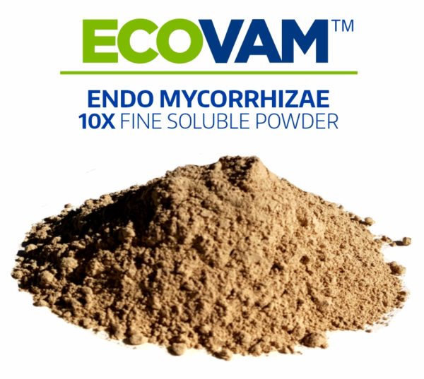 Ecovam Granular