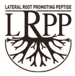 Lateral Root Promoting Peptide LRPP