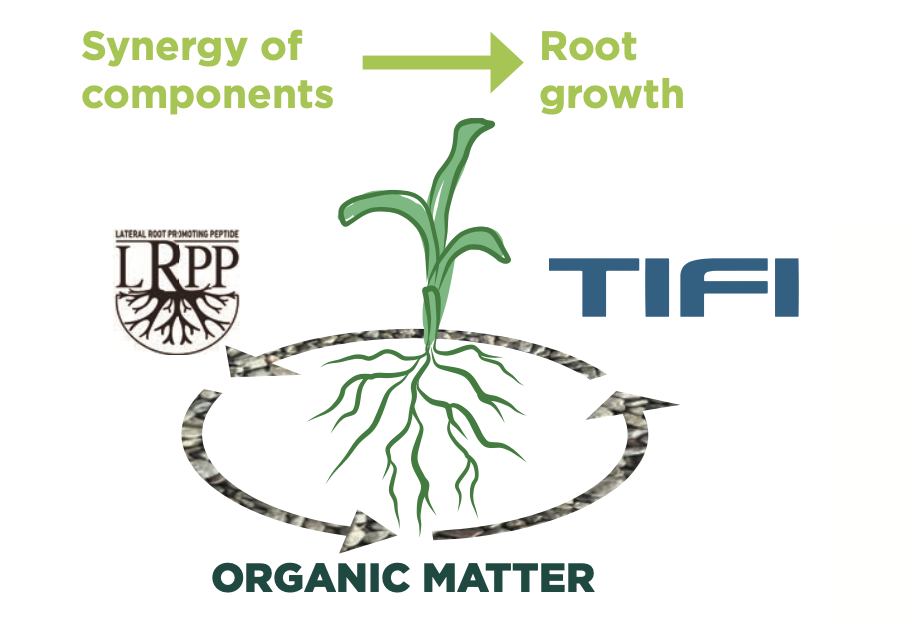 Synergy of Components