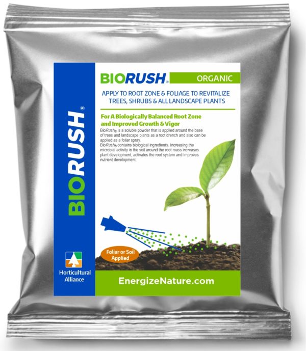 Biorush Organic Product Bag