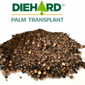 DIEHARD Palm Transplant
