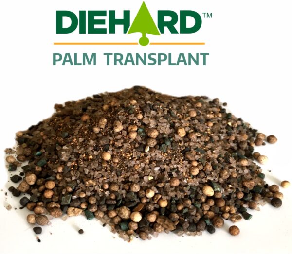 DIEHARD Palm Transplant