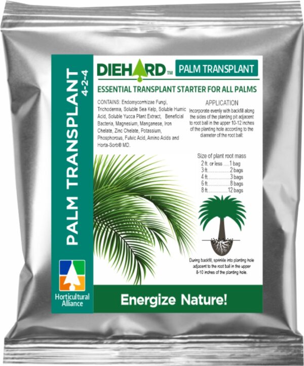 DIEHARD Palm Transplant - Image 4